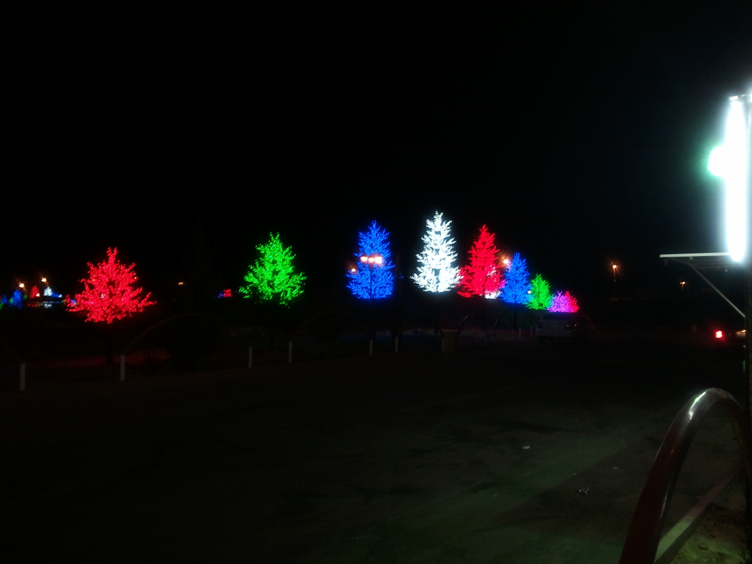 LED trees installed in Saudi Arabia Dubai and other countries